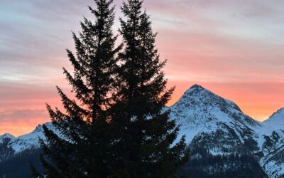 Monatsrückblick März 2023: What a wild ride!