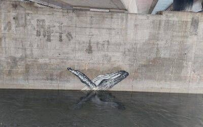 Monatsrückblick April 2023: Ready, Set, Go!